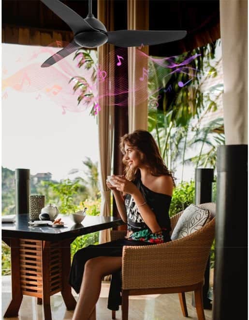 מאוורר תקרה דולפין 50" Dolphin NORTHER - מבט נוסף 3