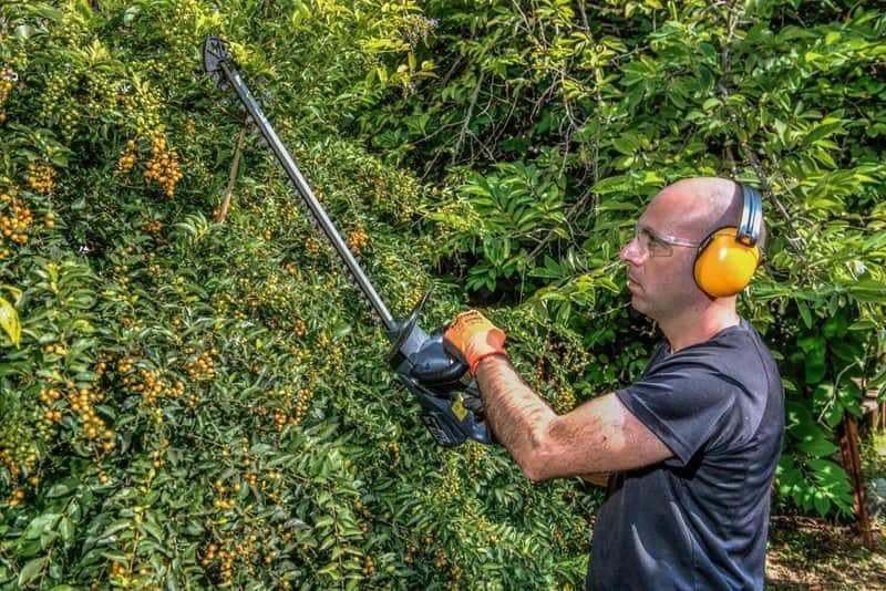 גוזם גדר חיה נטען 18V - סוללה 1.5Ah מטען 3A Hunter - מבט נוסף 2