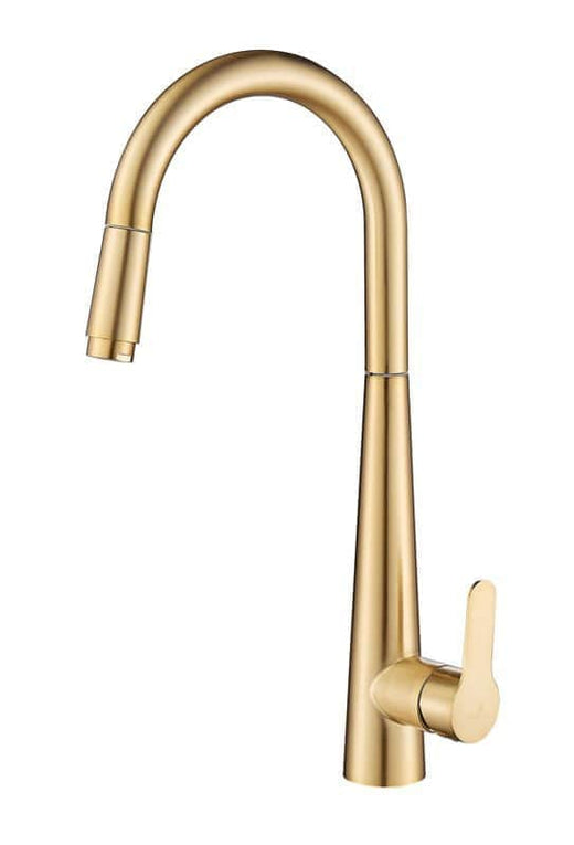 ברז נשלף CAESAR זהב מוברש Aquila 3128A